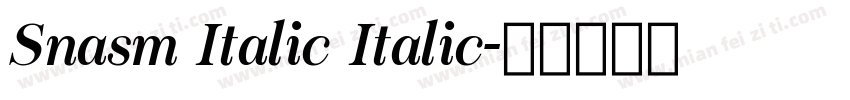 Snasm Italic Italic字体转换